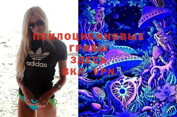 прущий лед Алзамай