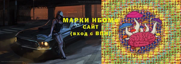 прущий лед Алзамай