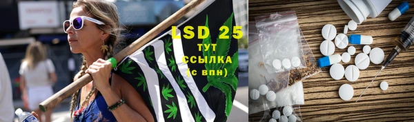 прущий лед Алзамай