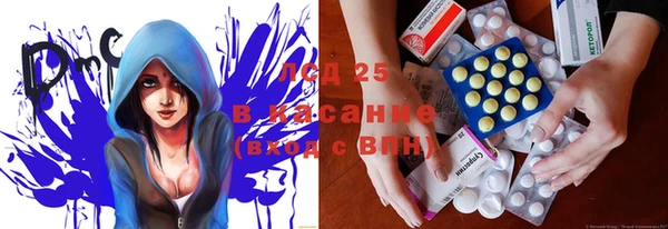 индика Сатка