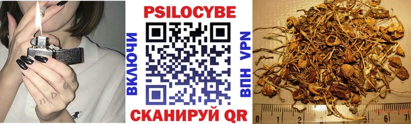 где найти   Заозёрный  Галлюциногенные грибы ЛСД 